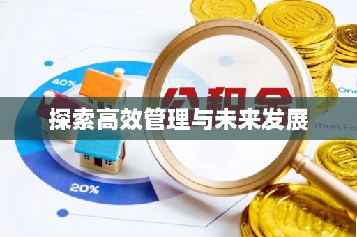 巴彦探索高效管理与未来发展