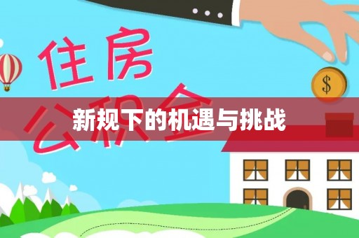 巴彦新规下的机遇与挑战
