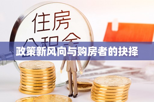 巴彦政策新风向与购房者的抉择