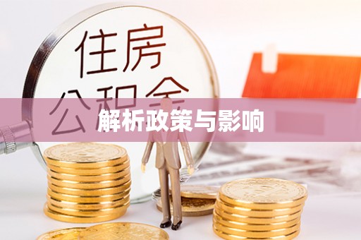 巴彦解析政策与影响