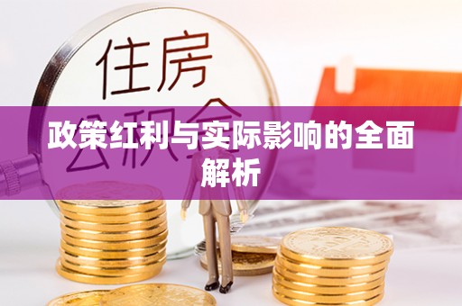 巴彦政策红利与实际影响的全面解析
