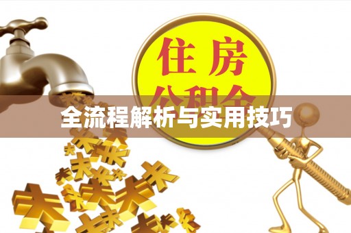 巴彦全流程解析与实用技巧
