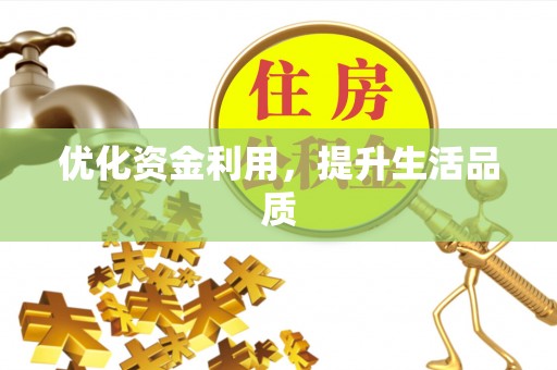 巴彦优化资金利用，提升生活品质