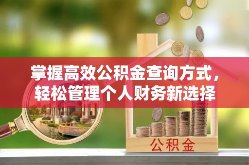 巴彦掌握高效公积金查询方式，轻松管理个人财务新选择