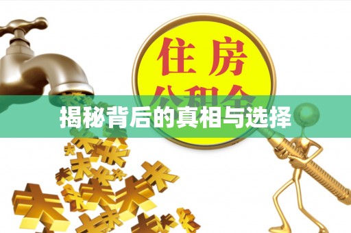 巴彦揭秘背后的真相与选择