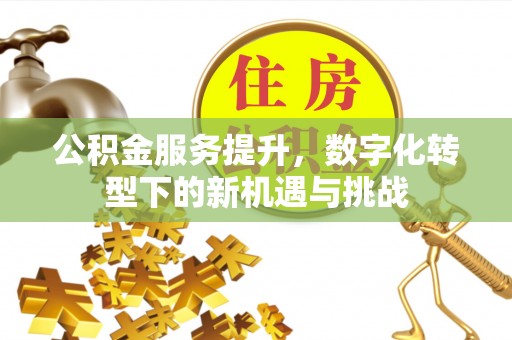 巴彦公积金服务提升，数字化转型下的新机遇与挑战