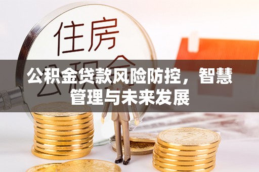 巴彦公积金贷款风险防控，智慧管理与未来发展