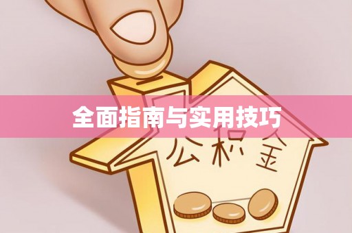 巴彦全面指南与实用技巧