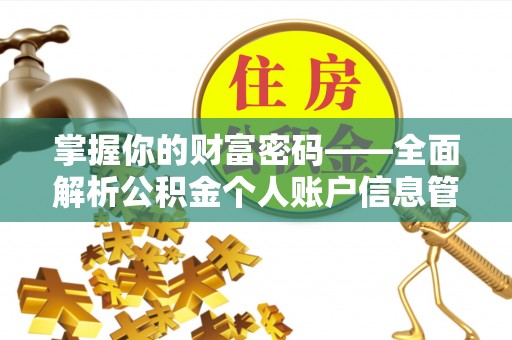 巴彦掌握你的财富密码——全面解析公积金个人账户信息管理与优化