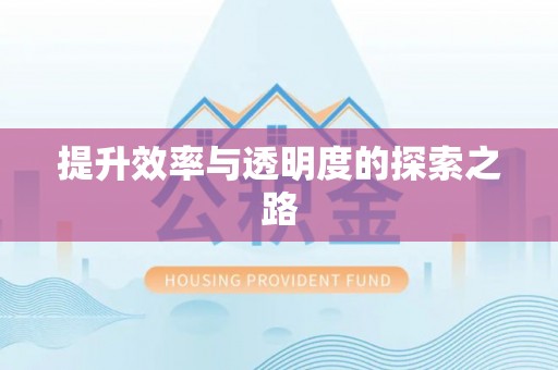 巴彦提升效率与透明度的探索之路
