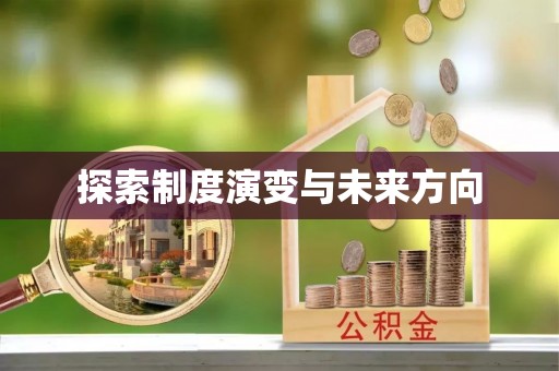 巴彦探索制度演变与未来方向