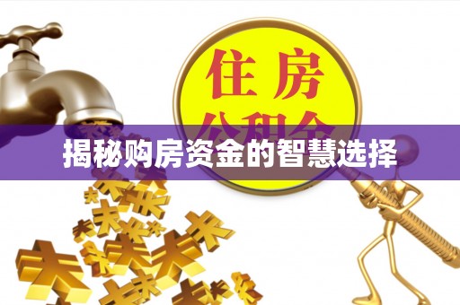 巴彦揭秘购房资金的智慧选择