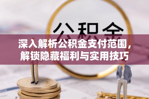 巴彦深入解析公积金支付范围，解锁隐藏福利与实用技巧